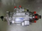 STANADYNE DE PUMP