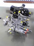 Denso VE pump